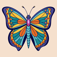 butterfly illustration