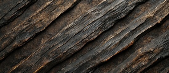 Textured dry bamboo stalks creating a rustic backdrop ideal for earthy design projects and natural-themed compositions