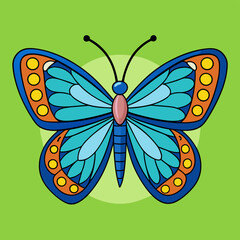 butterfly illustration