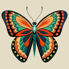 butterfly illustration