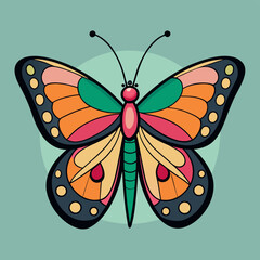 butterfly illustration