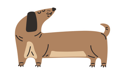 Cute brown dachshund dog. Vector flat cartoon illustration isolated on white