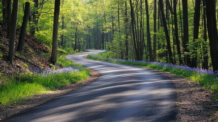 Fototapeta premium Winding Road Surrounded by Lush Green Trees and Delicate Mountain Bluebells in a Serene Forest Landscape