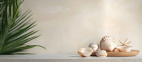 Coastal decor with assorted sea shells and starfish on a minimalist tabletop with natural backdrop and ample space for text placement