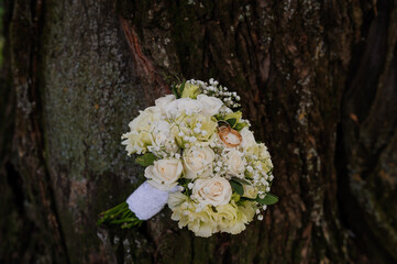 Elegant Bridal Bouquet Against a Rustic Tree Bark Background