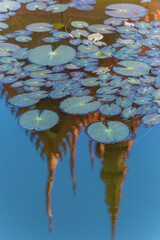 reflection in a lotus pond of part of the National Museum of Cambodia in Phnom Penh