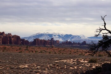 canyon with white snowy mountains in the background