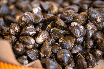 This close-up image showcases a heaping pile of fresh mussels, their dark shells glistening with moisture.
