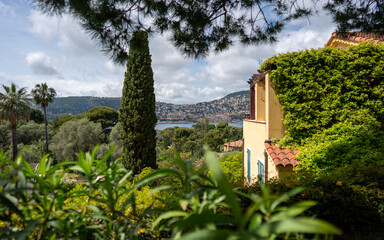 Saint-Jean-Cap-Ferrat, France - May 03, 2024: Mediterranean Villa Garden with Cypress Tree and Bay View Through Tropical Foliage