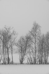 Winter of the cultural landscape of Knai, Hurdal, Norway.