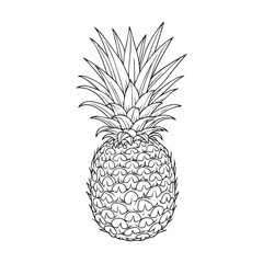 Black and White Illustration of Pineapple with Spiked Crown and Scaled Pattern Design