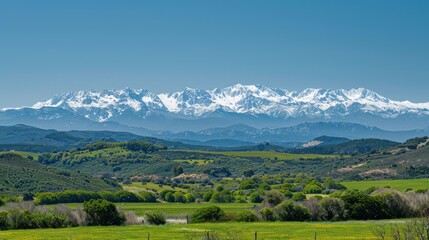 Obraz premium Majestic Snow-Capped Pyrenees Mountains Overlooking Lush Green Valley