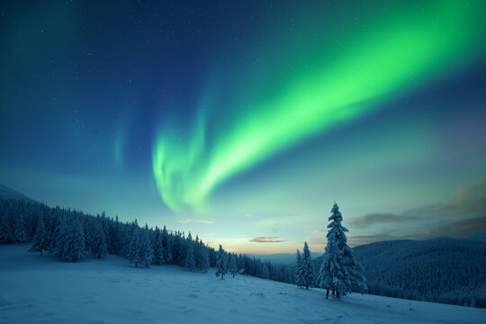 Fairy winter mountains with snowy fir-trees and incredible Northern lights in starry sky. Christmas nightscape with Polar lights. Aurora Borealis