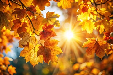 Golden sunlight filtering through vibrant autumn leaves, creating a warm and serene seasonal atmosphere.
