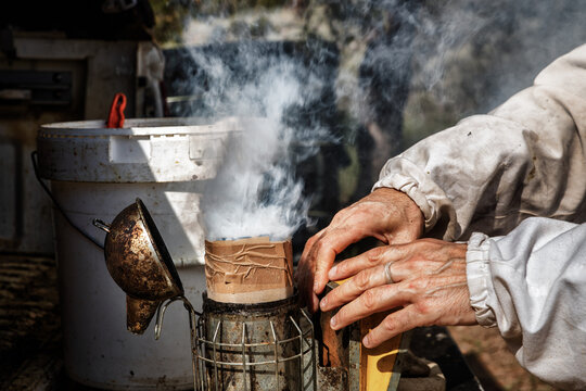 Beekeeper lighting a smoker for hive management. - Powered by Adobe