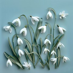 Elegant snowdrop flowers with green stems against a solid blue background, symbolizing spring and renewal.