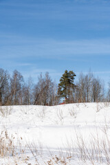 A snowy landscape with bare trees and dry reeds contrast against the bright white snow, with a clear blue sky adding depth to the serene winter scene