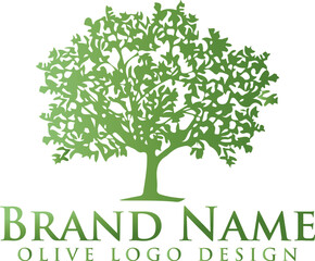 Obraz premium Olive Tree. Extra virgin olive oil symbol. Symbol of culture and Mediterranean food on white background