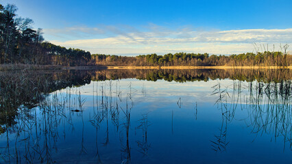 reflection in the lake