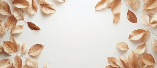 Autumn leaves border design creating a serene and natural space for personalized text or messages