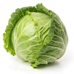 Fresh ripe cabbage vegetable isolated on a white background
