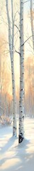 A beautiful winter landscape with birch trees.
