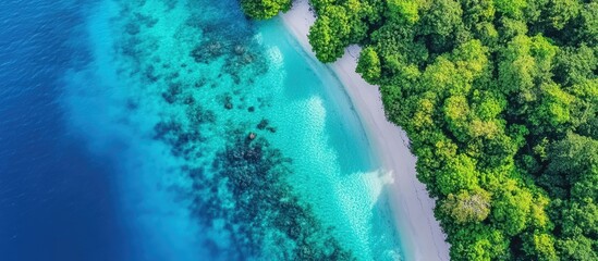 Breathtaking aerial view of a turquoise tropical ocean meeting lush green coastline with ample space for personalized text or branding