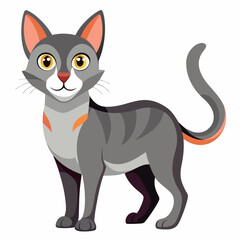 cat vector illustration