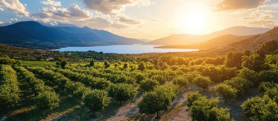 Aerial view of lush fruit orchards by a tranquil lake surrounded by mountains during a stunning...