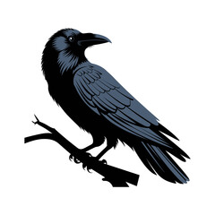 Fototapeta premium Black crow silhouette vector