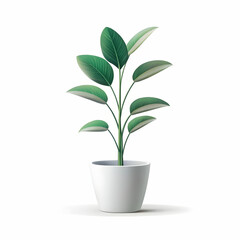 A simple, elegant minimalist plant