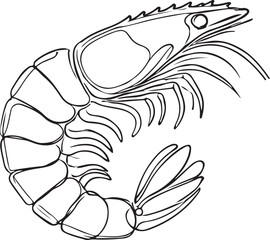 Shrimp Illustration in Minimalist Line Art Perfect for Modern Designs