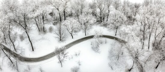 Aerial Perspective of Serpentine Road Through Lush Snowy Forest with Space for Text Overlay