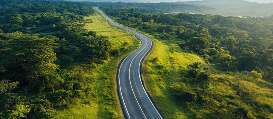 Fototapeta premium Aerial view of a winding road through a lush national park surrounded by greenery and natural landscapes ideal for travel themes