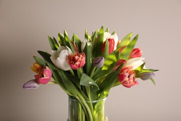 Beautiful bouquet of colorful tulips in glass vase on beige background