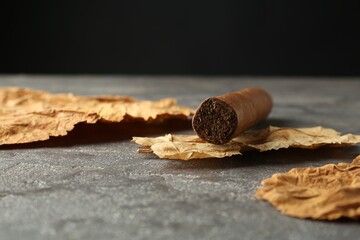 Dried tobacco leaves and cigar on grey table, closeup