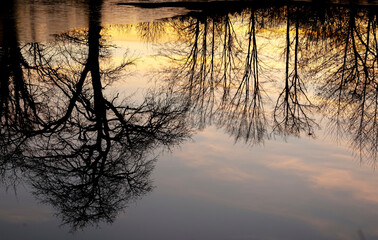 Reflets de no&euml;l