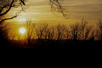 Couch&eacute; de soleil