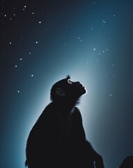 Silhouetted Primate Gazing Upwards In Darkness