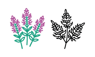Lavender and Outline Herb Vector Pair, A vector set featuring a vibrant lavender plant with purple flowers and a detailed black outline herb design, showcasing natural elements.

