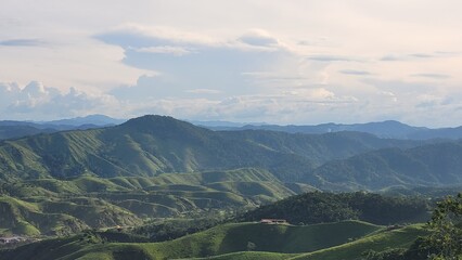 Naturaleza: ganadería y su impacto en los bosques