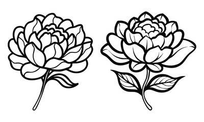 Intricate Black Outline Floral Vector Pair, A pair of detailed floral illustrations with black outlines, featuring large blossoms, layered petals, and leafy stems in a minimalist style.
