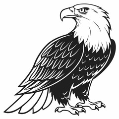 eagle vector illustration on a white background 