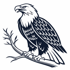 eagle vector illustration on a white background 
