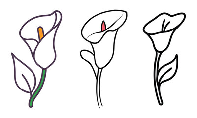 Elegant calla lily line art with colored accents, Three minimalist calla lily illustrations, including black-and-white line art and designs with subtle colored accents, showcasing graceful floral eleg