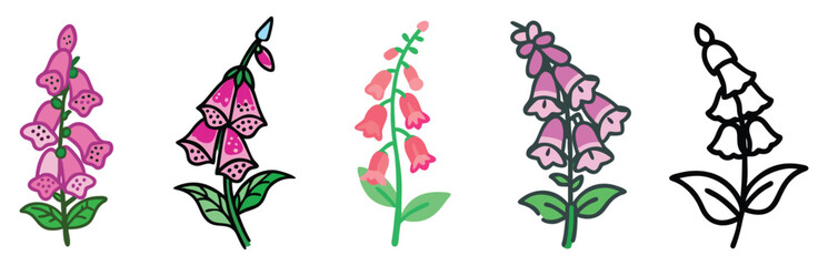 Colorful and outline foxglove flower illustrations, A collection of foxglove flower illustrations featuring vibrant colors and black-and-white outlines, highlighting their unique bell-shaped blooms.  © PixelArtBox