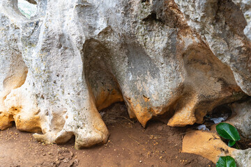 Cap de Formentor, Mallorca, Spain 25.10.2021 - Natural limestone cave formation with eroded cavities and green plant detail