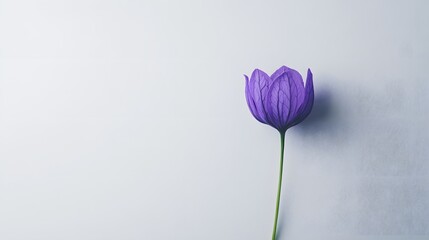 Fototapeta premium Single Purple Flower Stem on White Background