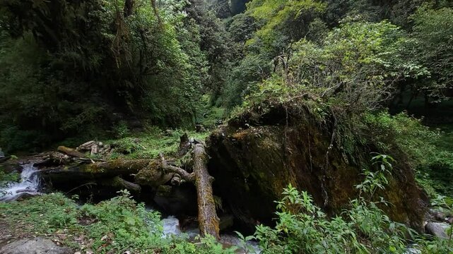 River from poon hill trek Nepal