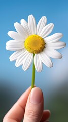 A person holding a single white flower in their hand